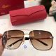 Luxury Cartier Aviator CA0912 Sunglasses - Hidden Logo Lenses (4)_th.jpg